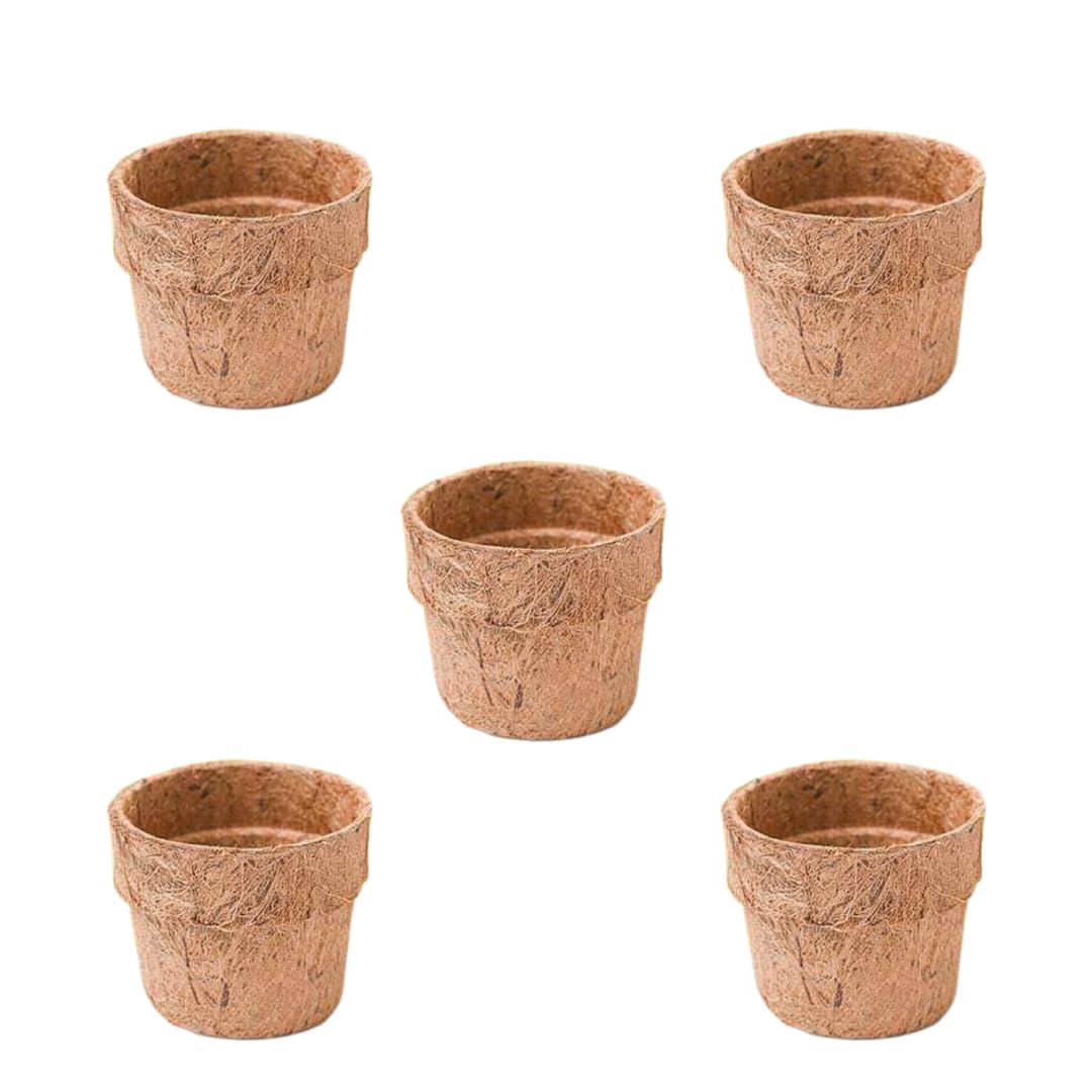 degradable pots for plants Coco Coir Pot Eco-Friendly and Bio-Degradable Planter Pot (4 inch Size – M-Tech Gardens