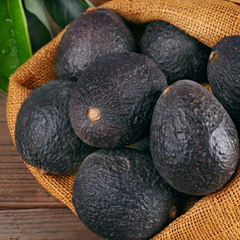 Avocado - Lamb Hass - Fruit Plant