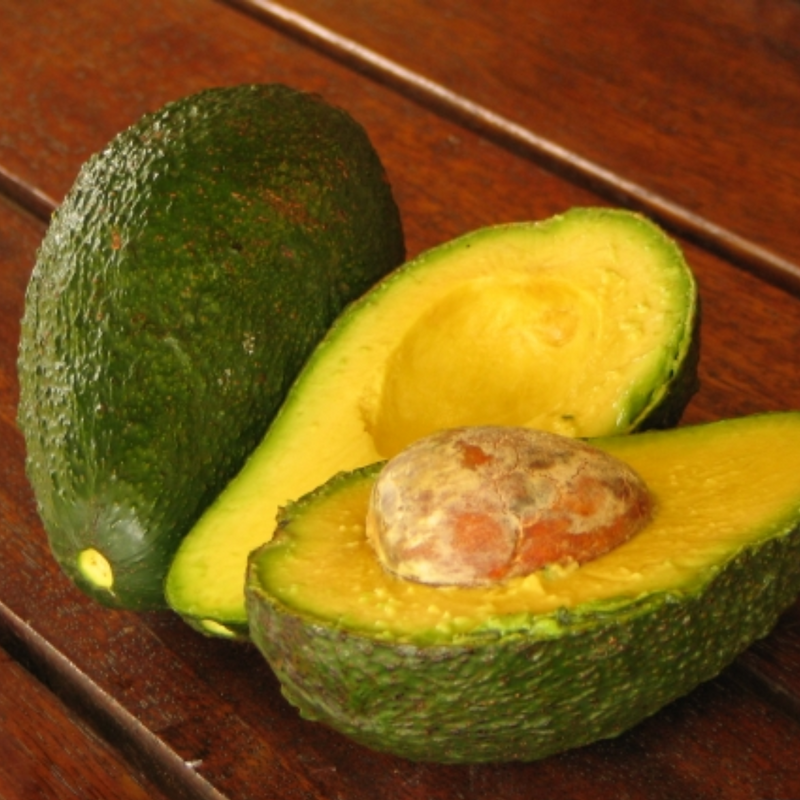 Avocado - Secondo - Hybrid Fruit Plant