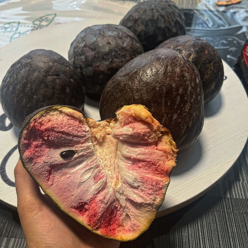 Custard Apple - Black - Annona reticulata Fruit Plant