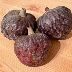Custard Apple - Black - Annona reticulata Fruit Plant