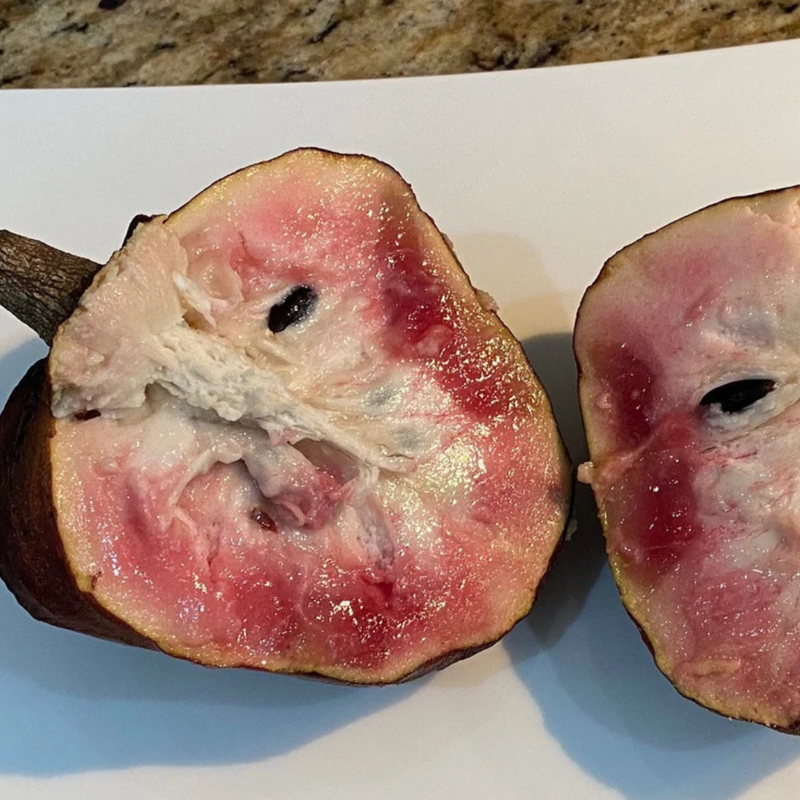 Custard Apple - Red Flesh - Annona reticulata Fruit Plant