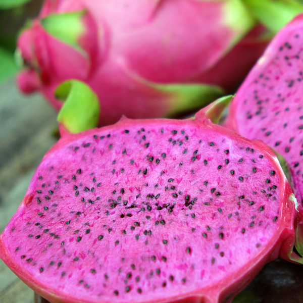 Dragon Fruit / Pitaya - Purple Flesh Fruit Plant