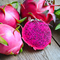 Dragon Fruit / Pitaya - Purple Flesh  Fruit Plant