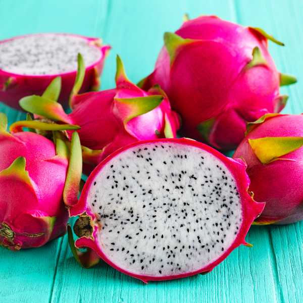 Dragon Fruit / Pitaya - White Flesh Fruit Plant
