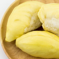 Durian - D24 Hybrid - Fruit Plant