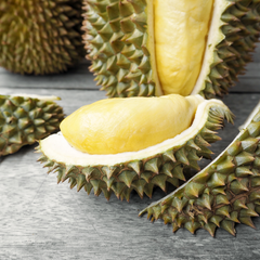 Durian - Dwarf Hybrid - Fruit Plant