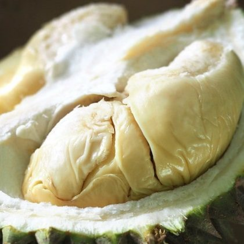 Durian - Golden Phoenix - Fruit Plant