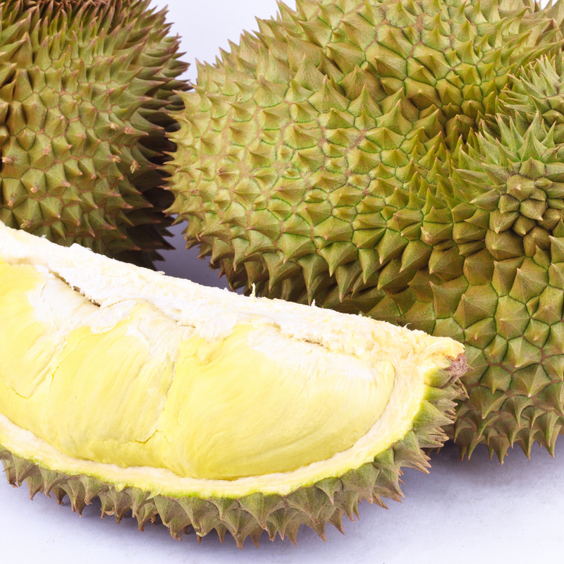 Durian - Mon Thong  - Fruit Plant