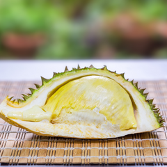 Durian - Mon Thong  - Fruit Plant