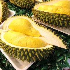 Durian - Nonthaburi - Fruit Plant