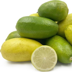 Citrus Lemon - Gandharaj Lemon - Hybrid Fruit Plant