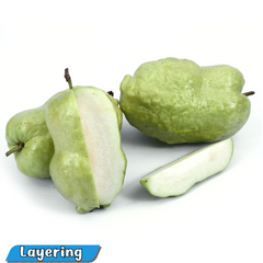 Indonesian Seedless Guava Fruit Plant