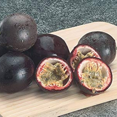 Passionfruit - Black Fruit Plant