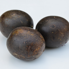 Passionfruit - Black Fruit Plant