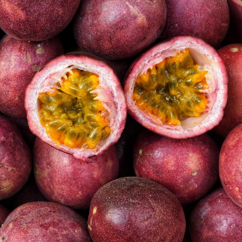Passionfruit - Panama Red Fruit Plant