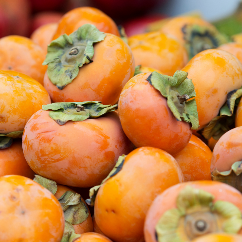 Persimmon - Japanese Persimmon - Diospyros kaki Fruit Plant