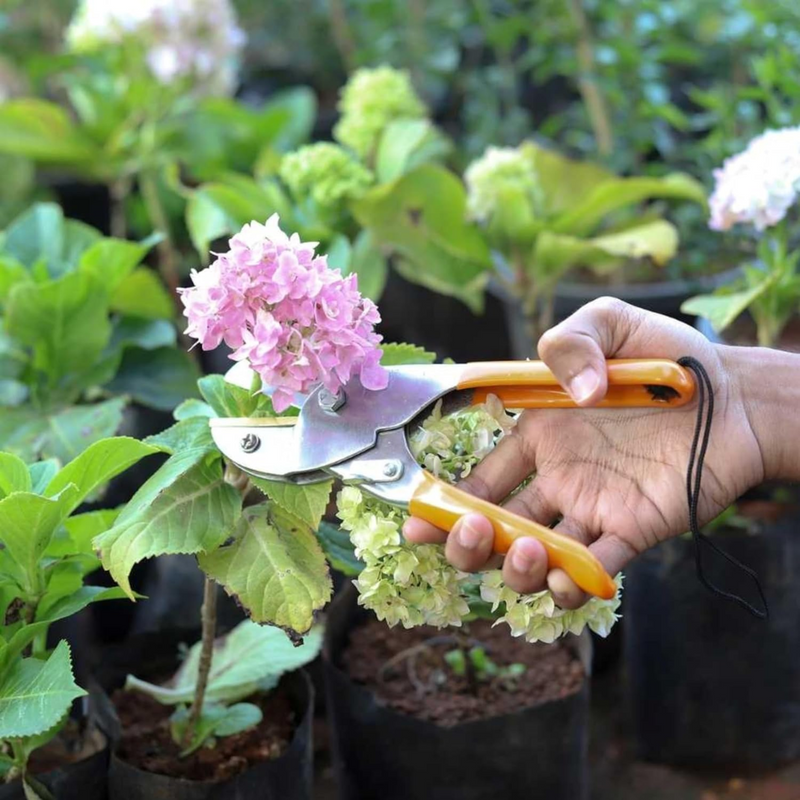Roll Cutter Pruning Shears - Garden Tool