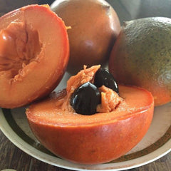 Red Faisan (Pouteria Viridis) Fruit Plant