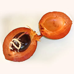 Red Faisan (Pouteria Viridis) Fruit Plant