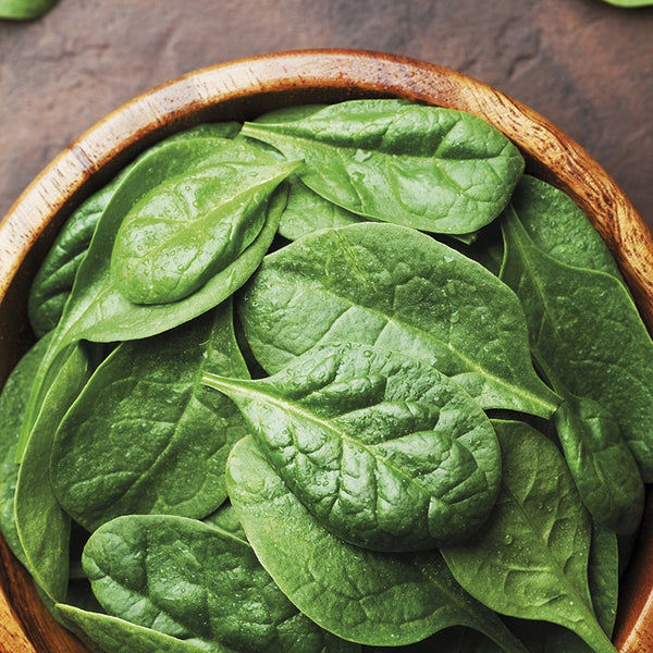 Palak Spinach