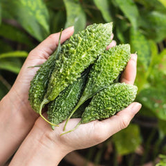Bittergourd