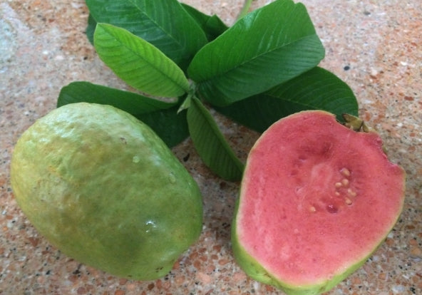Guava