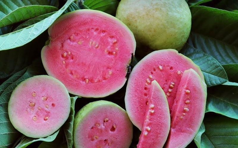 Guava