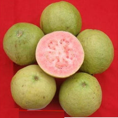 Guava