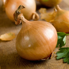 Onion