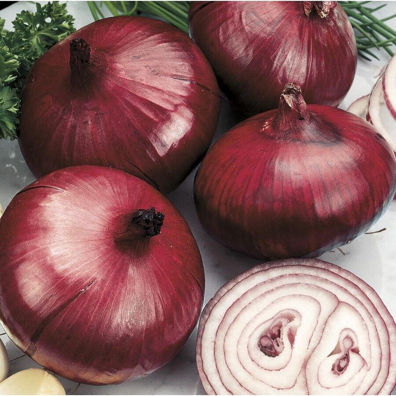 Onion