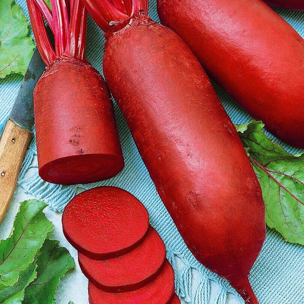 Beet Root