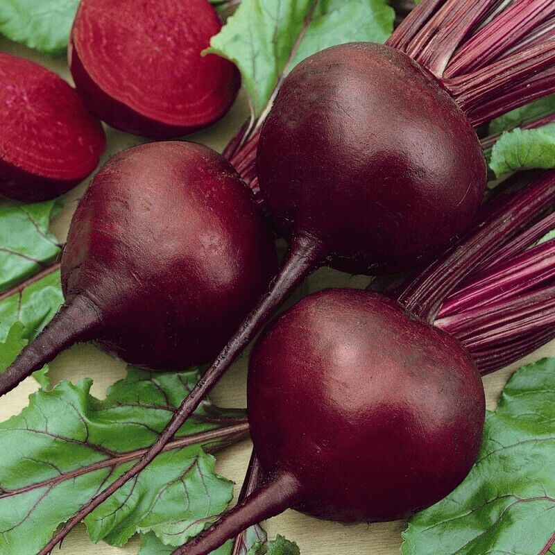 Beet Root