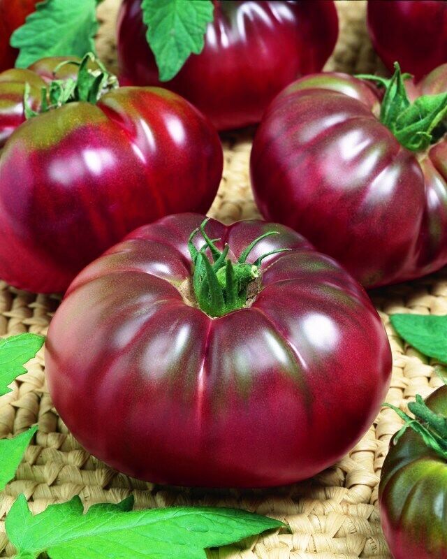 Tomato