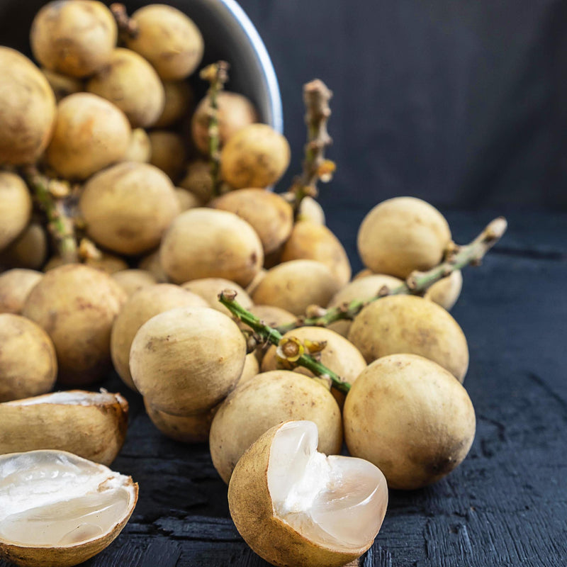 Langsat - Lansium domesticum Fruit Plant