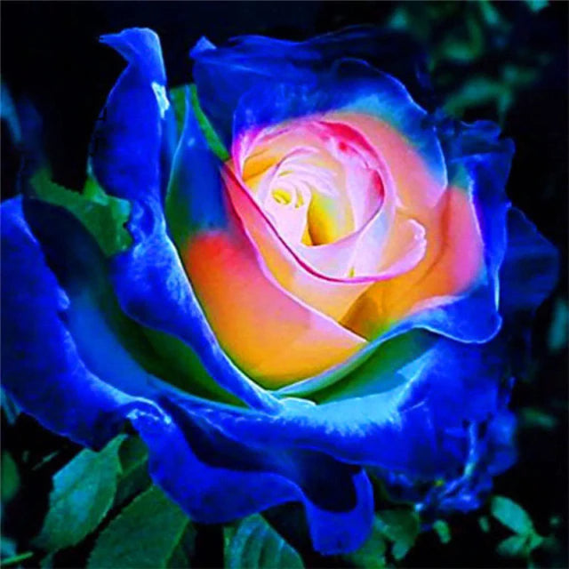 exotic rose seeds Rose " Variety : 18 " Exotic 20 Flower Seeds – M-Tech Gardens