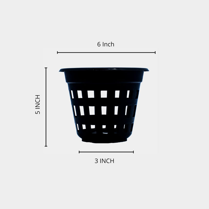 Plastic Orchid Pot (6