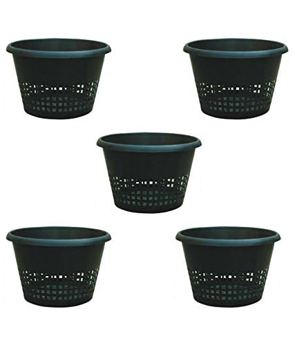 Plastic Orchid Pot (8" Diameter x 5" Height) (Pack of 5)