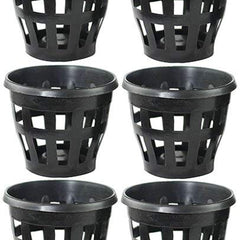 Plastic Orchid Pot (5