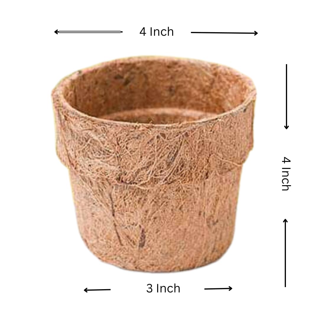 Coco Coir Pot Eco-Friendly and Bio-Degradable Planter Pot (4 inch Size )