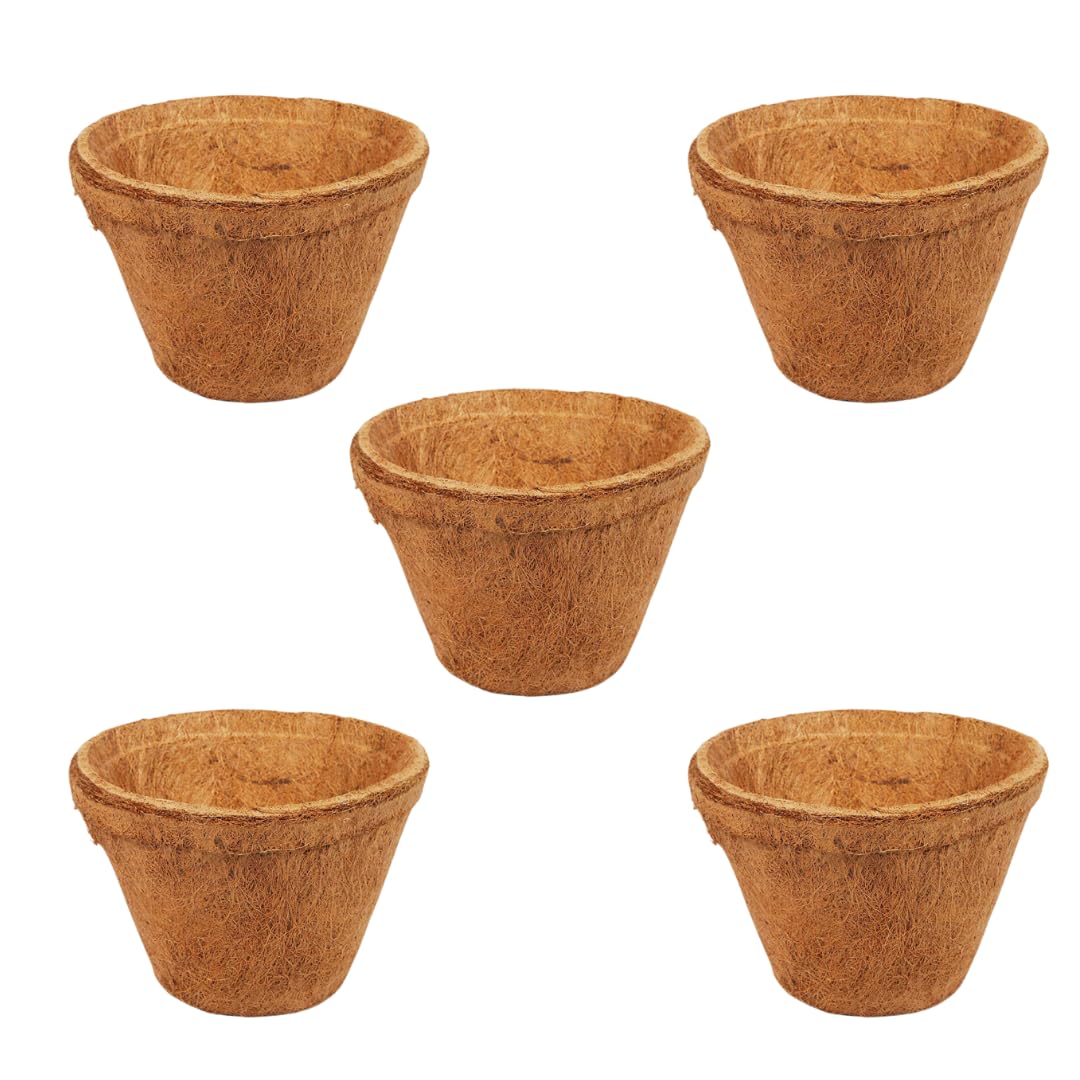 Coco Coir Pot Eco-Friendly and Bio-Degradable Planter Pot (8 inch Size )