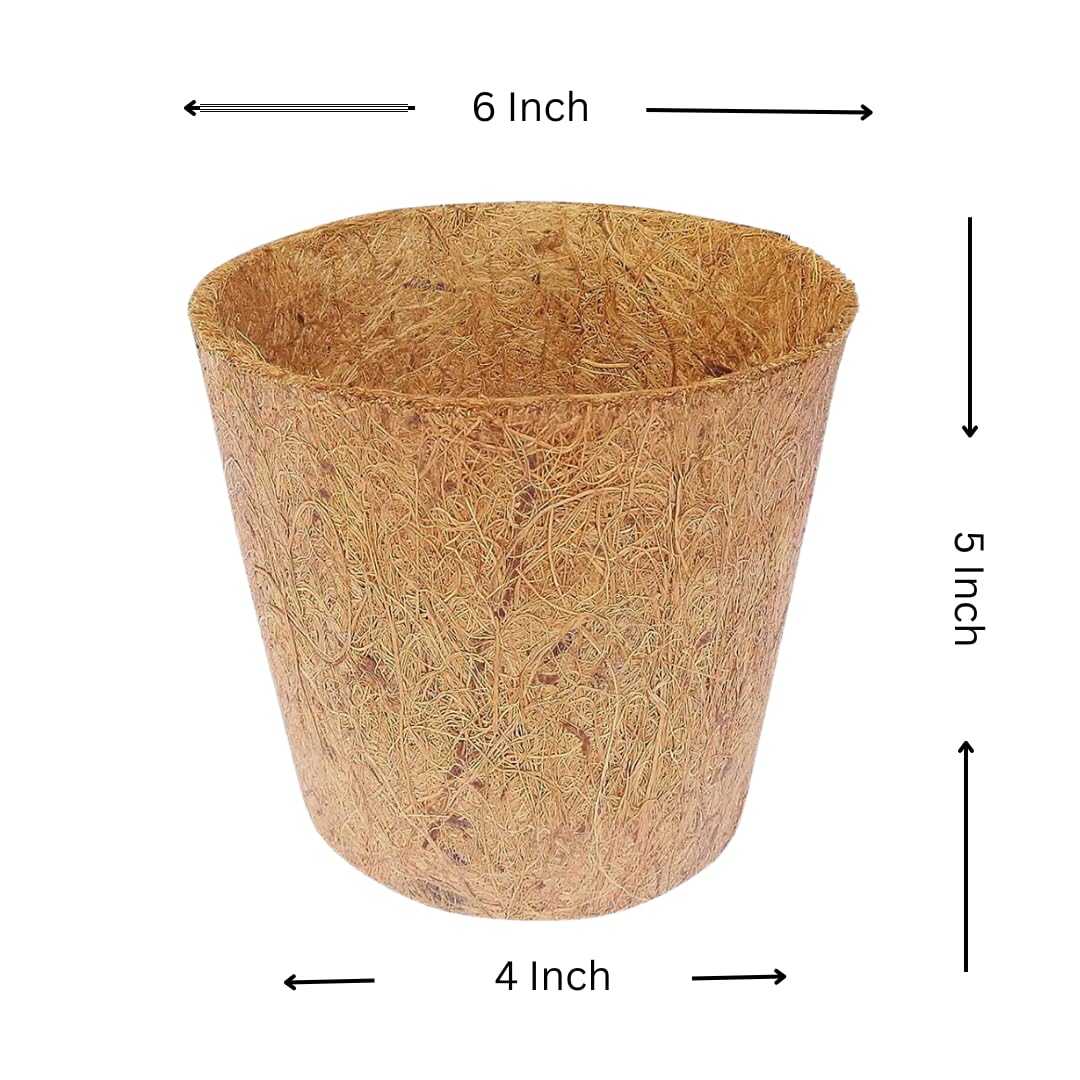 Coco Coir Pot Eco-Friendly and Bio-Degradable Planter Pot (6 inch Size )