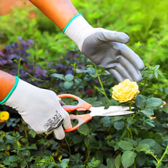 Garden Scissors - Stainless Steel Garden Tool