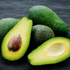 Avocado - Sharwill - Hybrid Fruit Plant