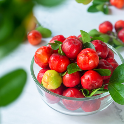 Barbados Cherry - Red - Hybrid Fruit Plant