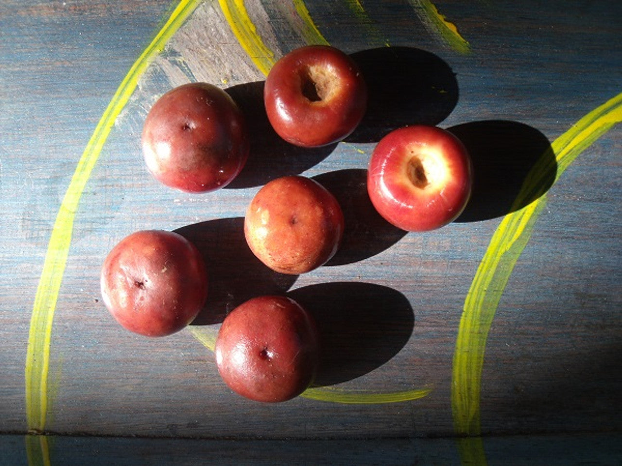 Nance Fruit Red (Byrsonima Crassifolia) Fruit Plant