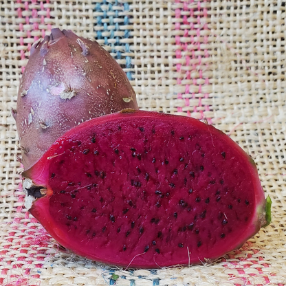 Dragon Fruit / Pitaya - Black Skin  Fruit Plant