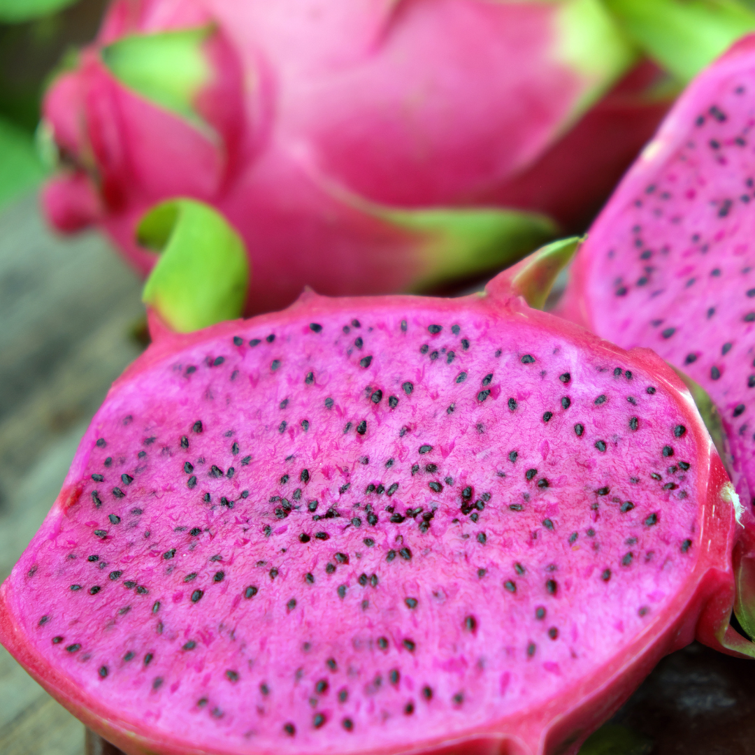 Dragon Fruit / Pitaya - Purple Flesh  Fruit Plant