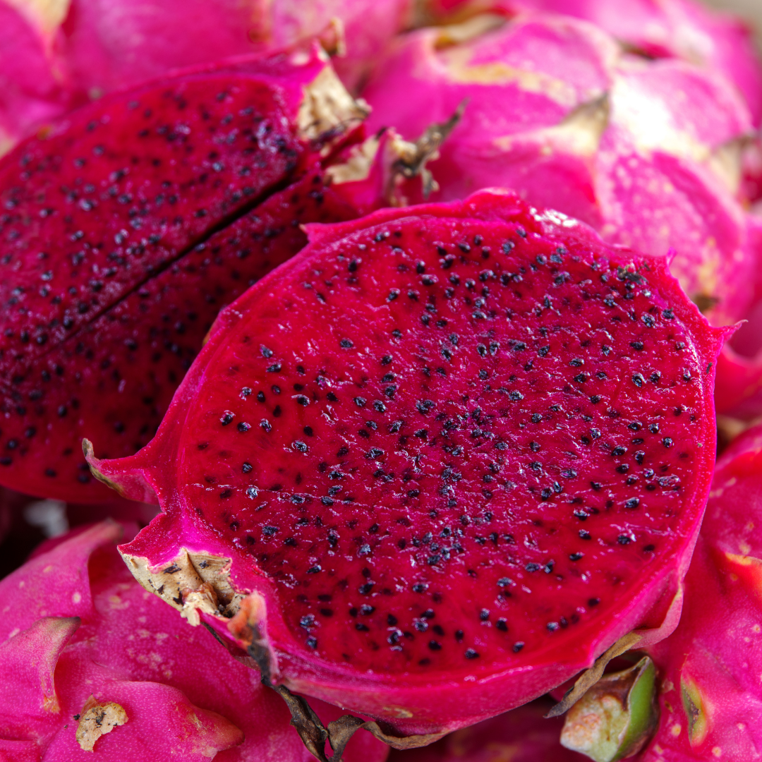 Dragon Fruit / Pitaya - Red Flesh  Fruit Plant