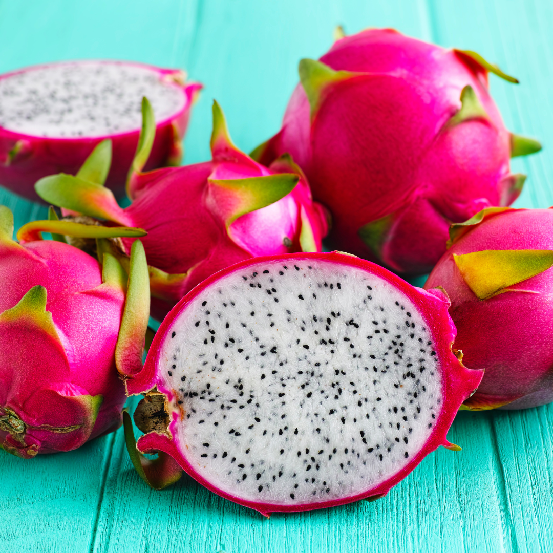 Dragon Fruit / Pitaya - White Flesh  Fruit Plant